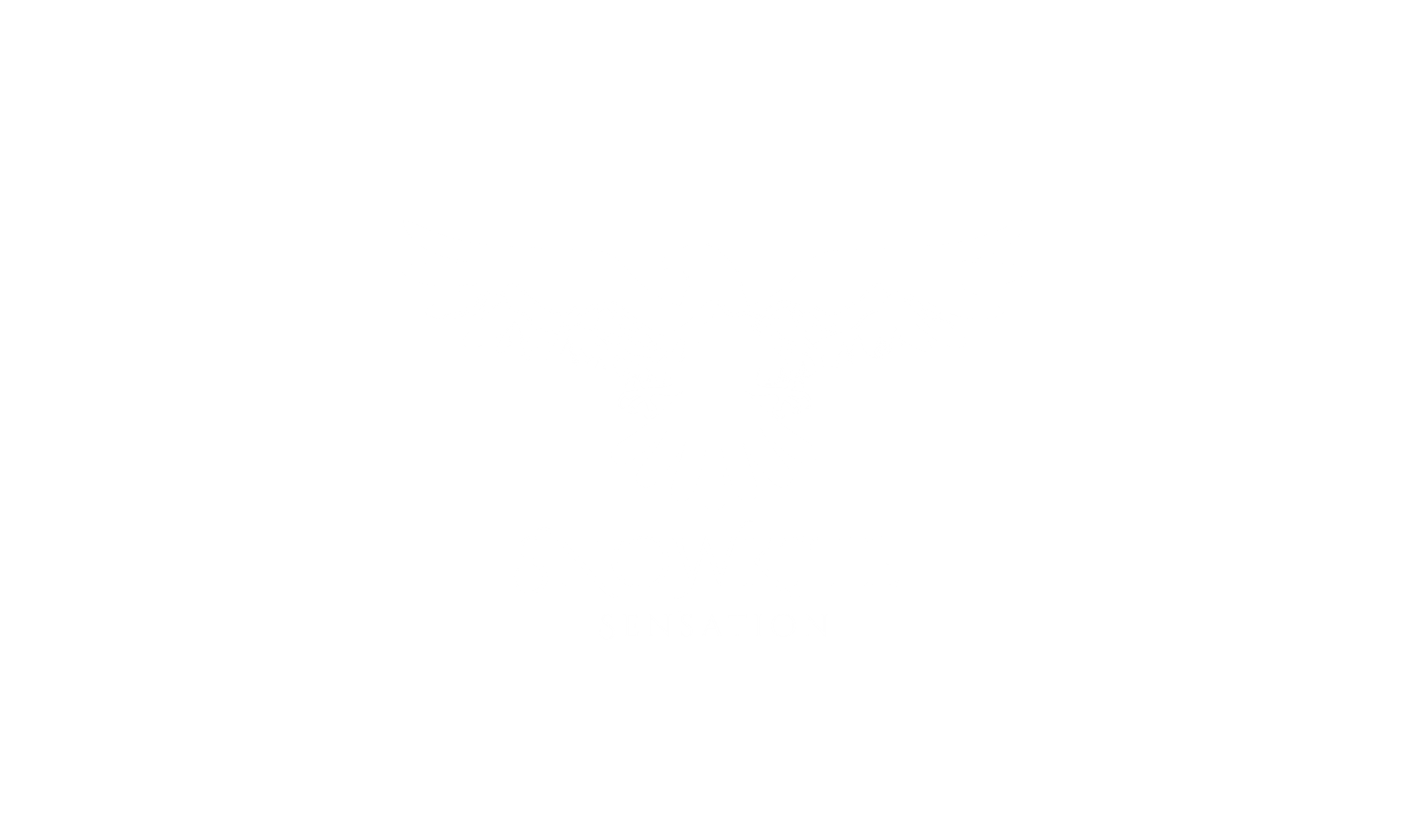 snowkite sensation logo