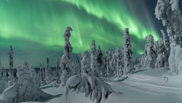 finnish Lapland Northern lights