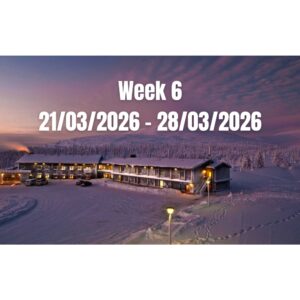 WEEK 6 in Paradise