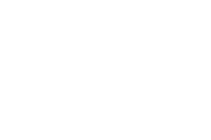 Snowkite Sensation
